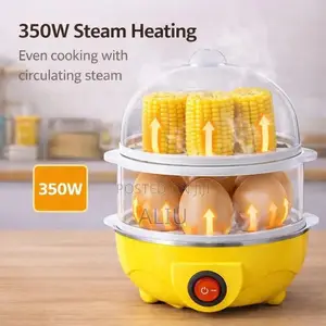 Double-Layer Electric Egg Boiler