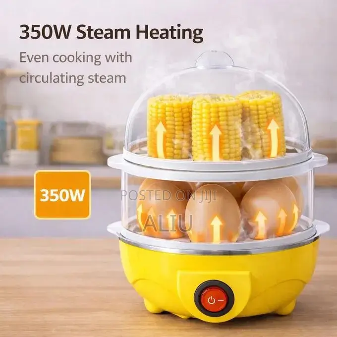 Double-Layer Electric Egg Boiler