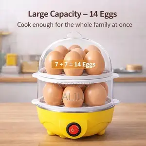 Double-Layer Electric Egg Boiler