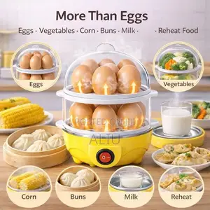 Double-Layer Electric Egg Boiler