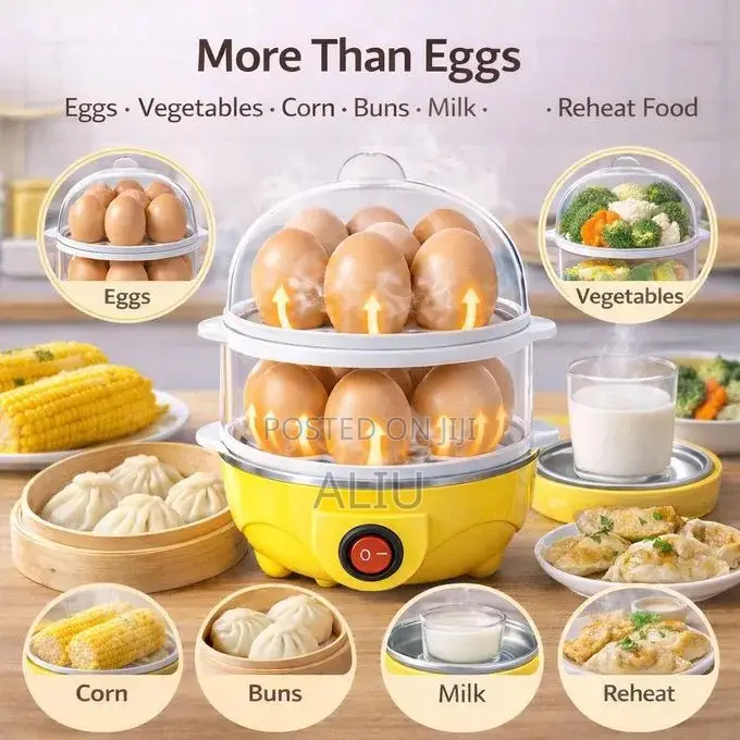 Double-Layer Electric Egg Boiler