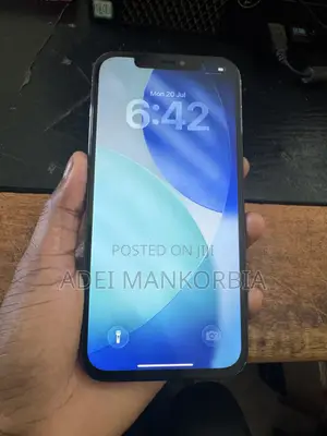 Apple iPhone 12 Pro Max 256 GB Blue