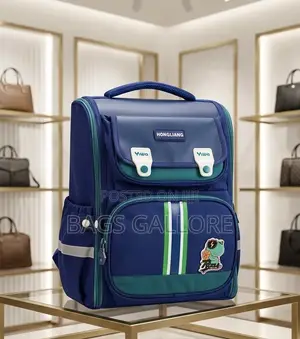 Lower Primary Folding Box Bag
