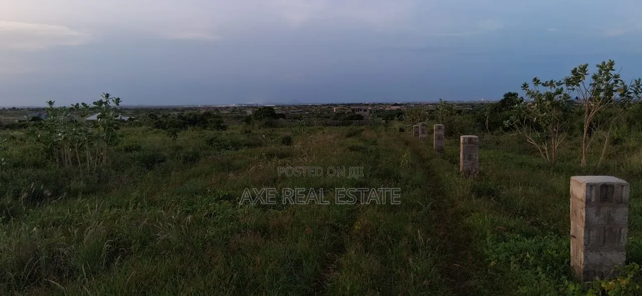 Half Plot : Mounted Pillars - Prampram