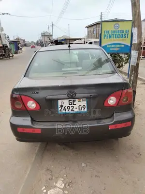 Toyota Corolla LE 2007 Gray