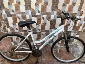 Home Used Bicycle