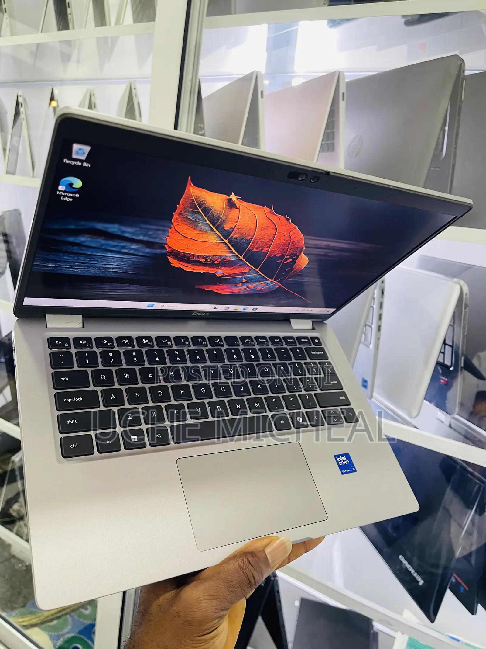 Laptop Dell Latitude 5450 32GB Intel Core Ultra 5 SSD 256GB