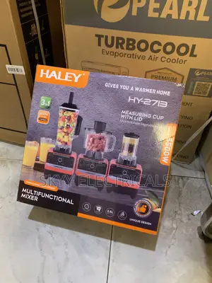 Available in Stock Haley 3in1 Blender