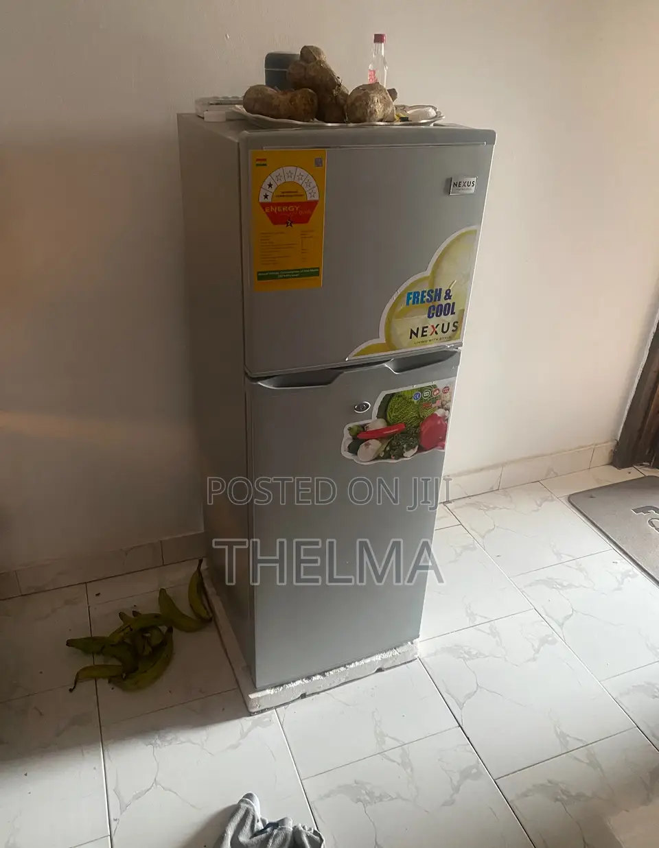 Standing Refrigerator