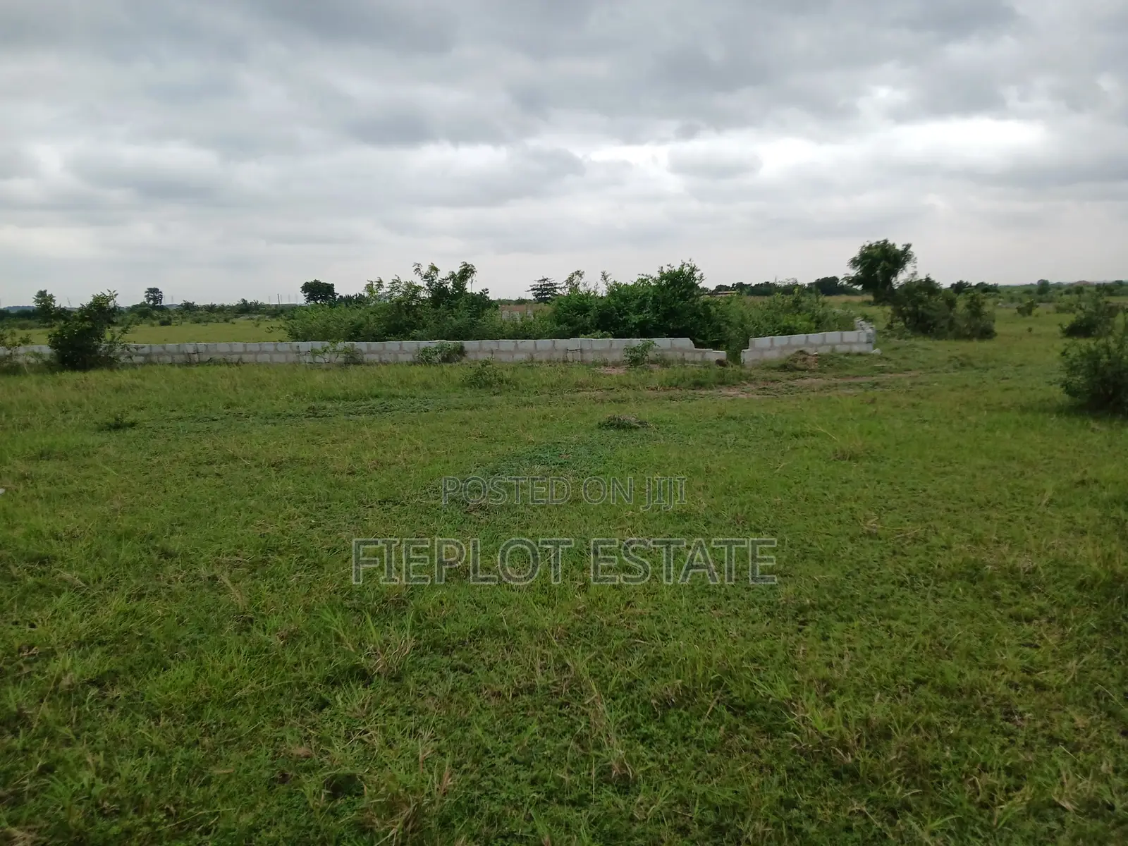Deposit Half, Spread the Rest at Shai Hills