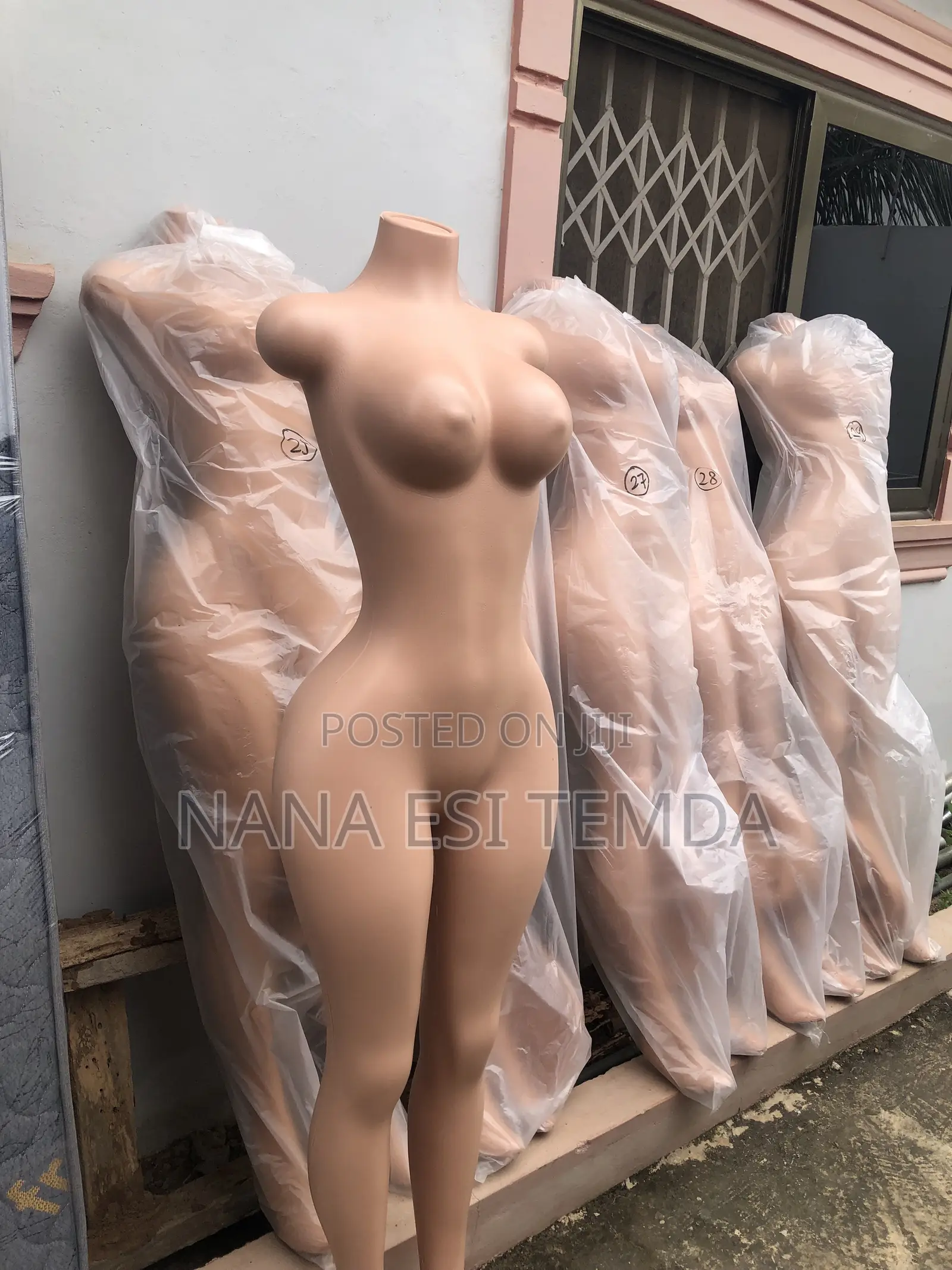 Dummy/ Mannequin