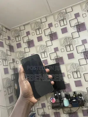 Apple iPhone 12 Pro Max 256 GB Rose Gold