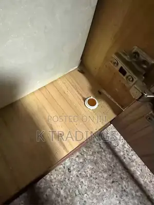 Cockroach Bait