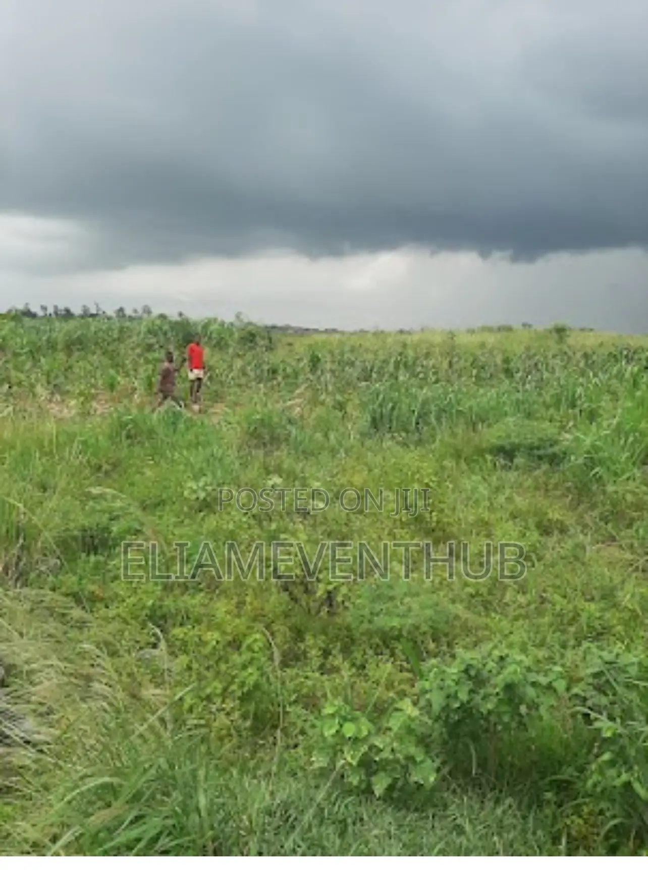 Land for Sale