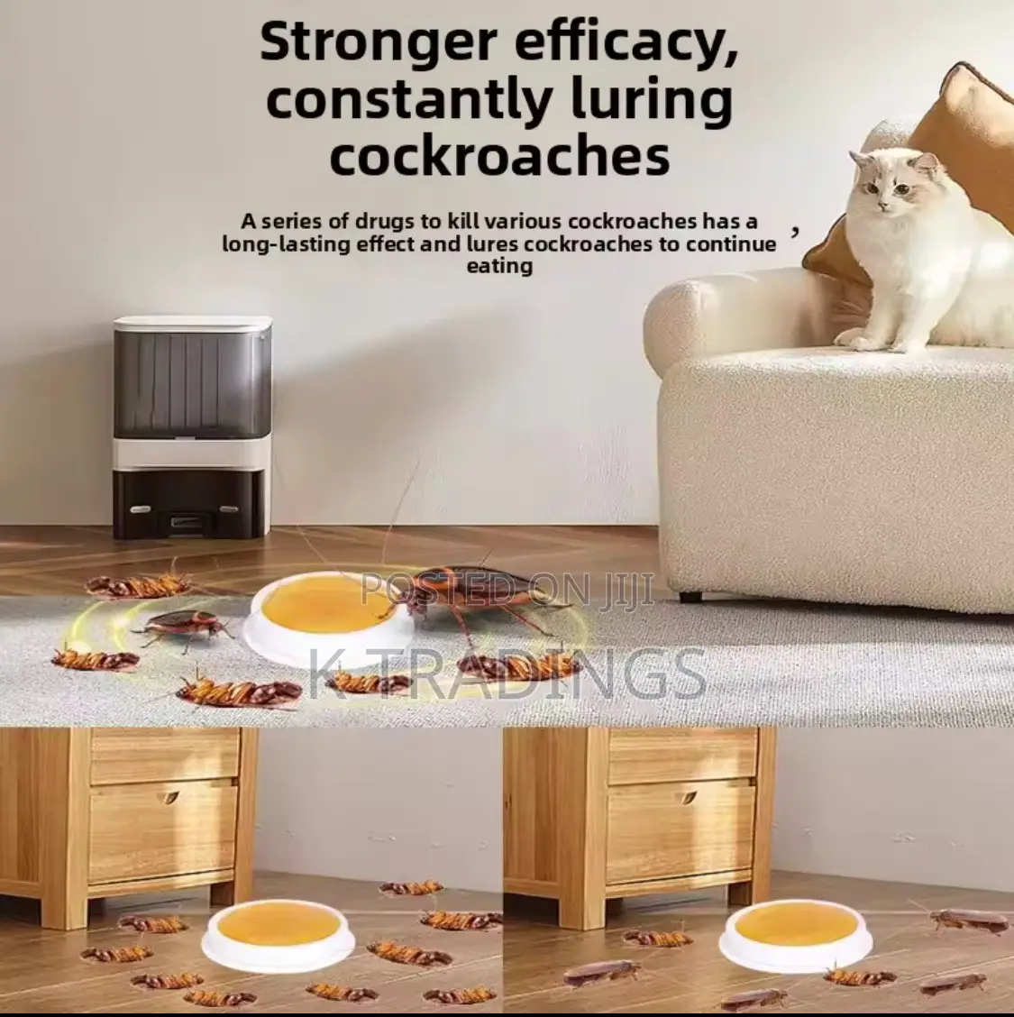 Cockroach Bait