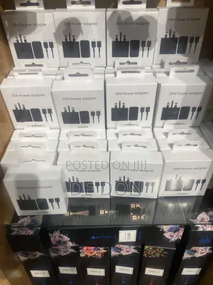 Samsung Original Charger