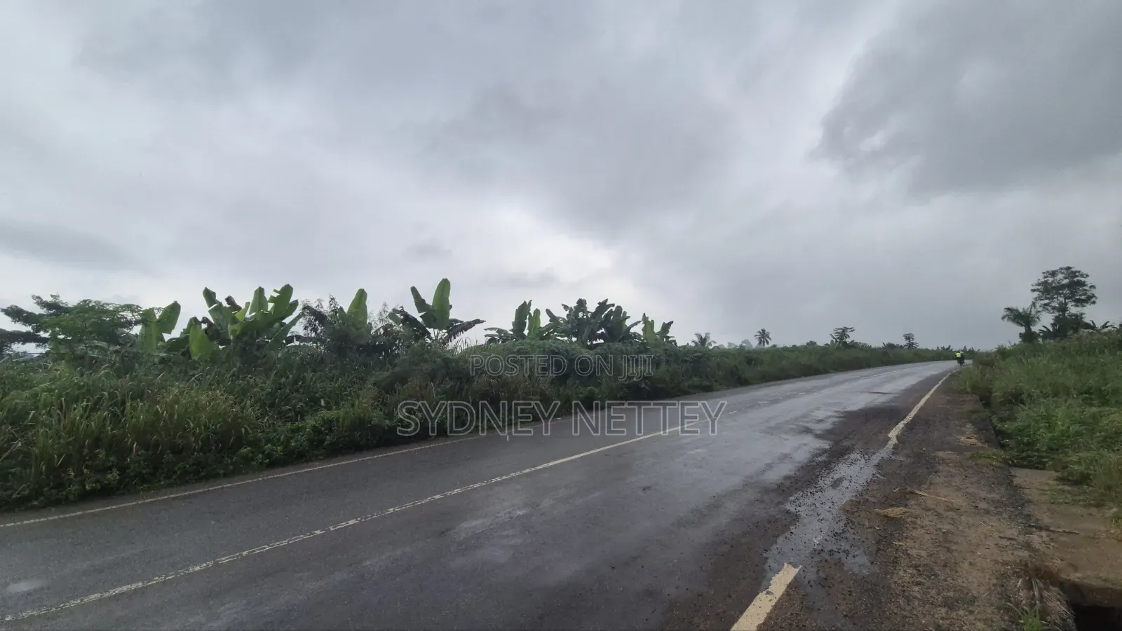 10-Acre Land for Sale – Mankrong, Nkwanta
