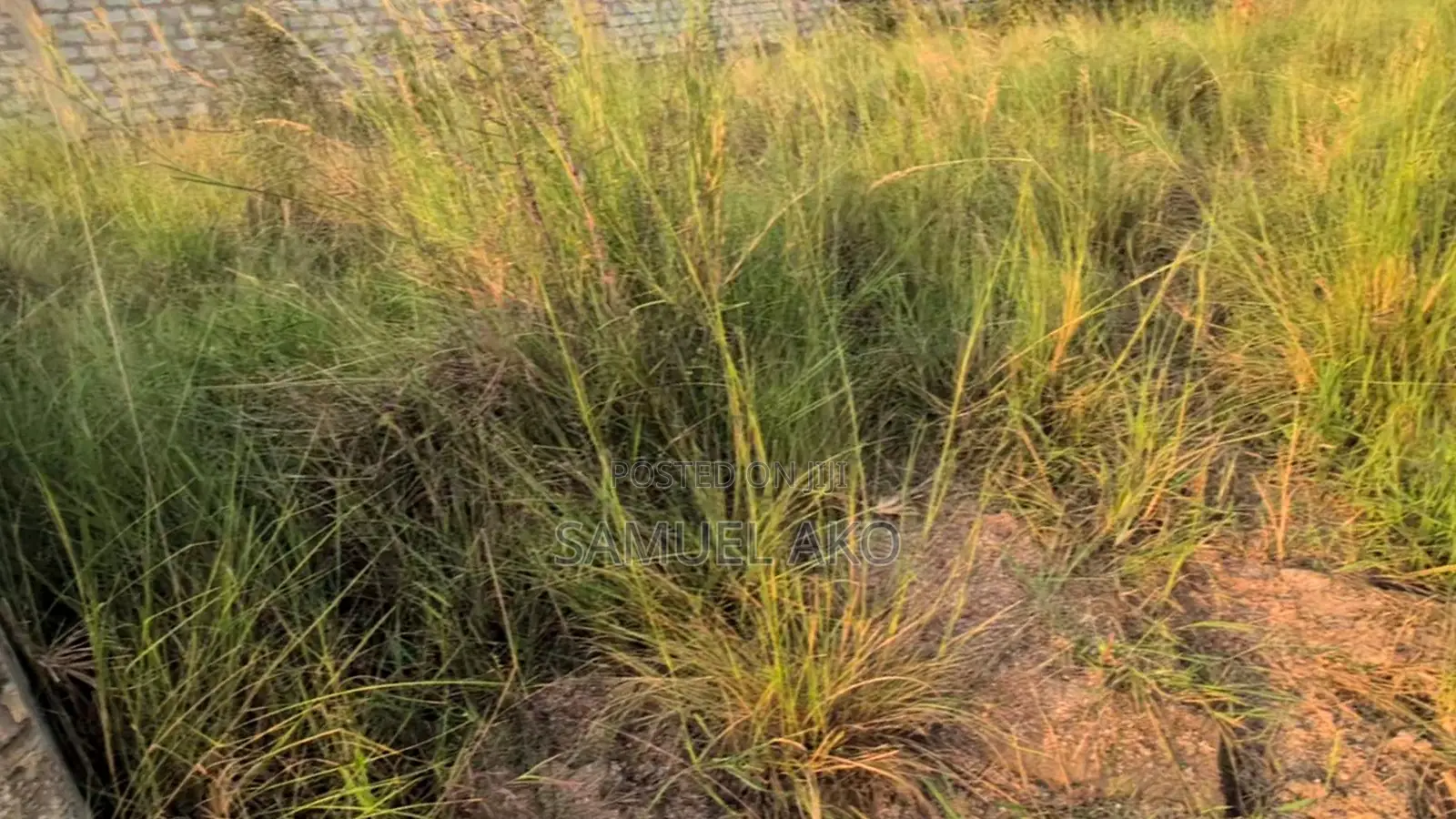 Fully Titled 100 X 70 Ft Plot Behind China Mall, Amrahia