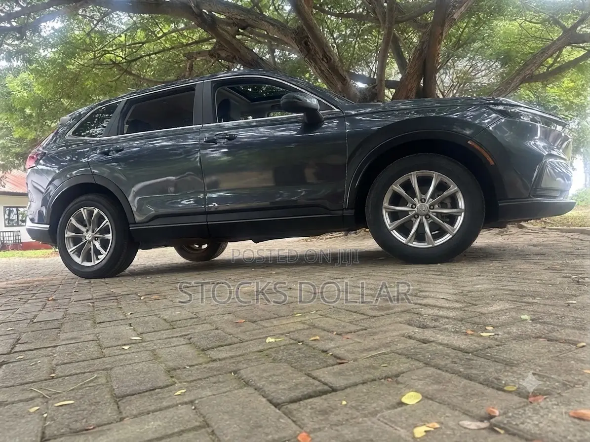 Honda CR-V EX AWD 2025 Gray