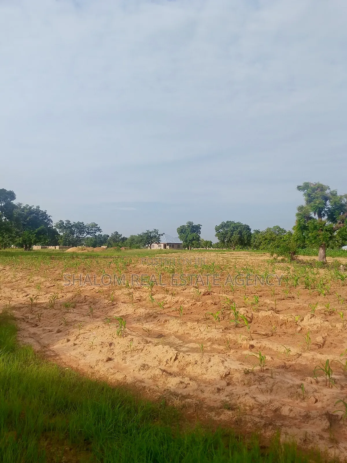 Affordable and Commercial Viable Plots at UDS Dungu Area for Sale
