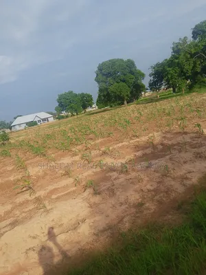 Affordable and Commercial Viable Plots at UDS Dungu Area for Sale