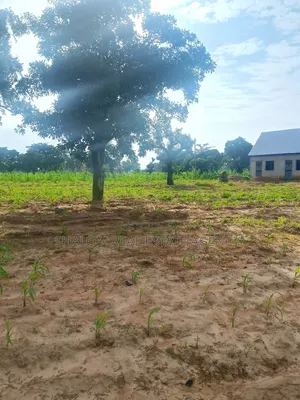 Affordable and Commercial Viable Plots at UDS Dungu Area for Sale