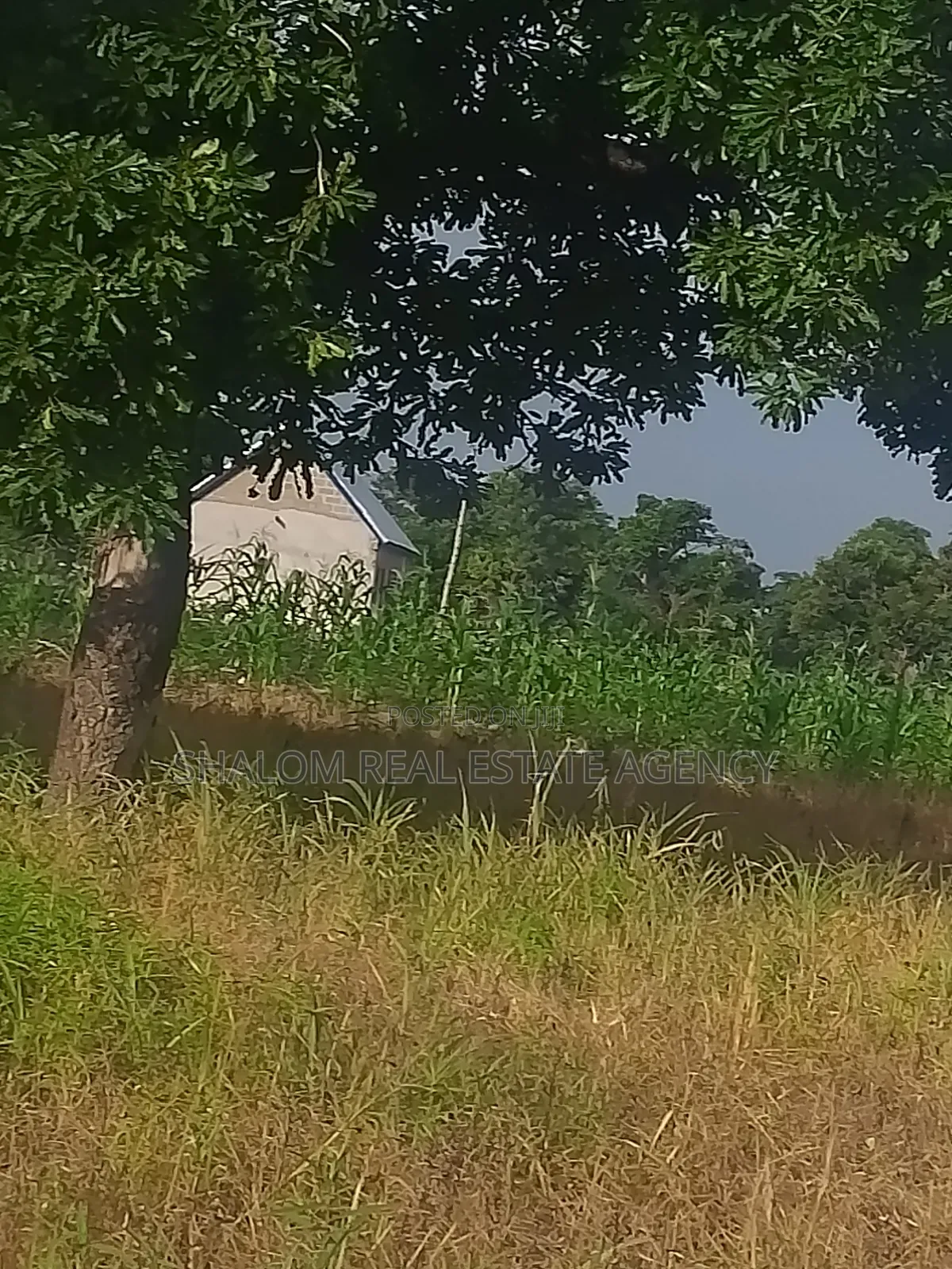 Affordable and Commercial Viable Plots at UDS Dungu Area for Sale