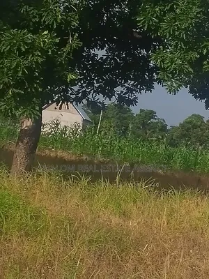 Affordable and Commercial Viable Plots at UDS Dungu Area for Sale