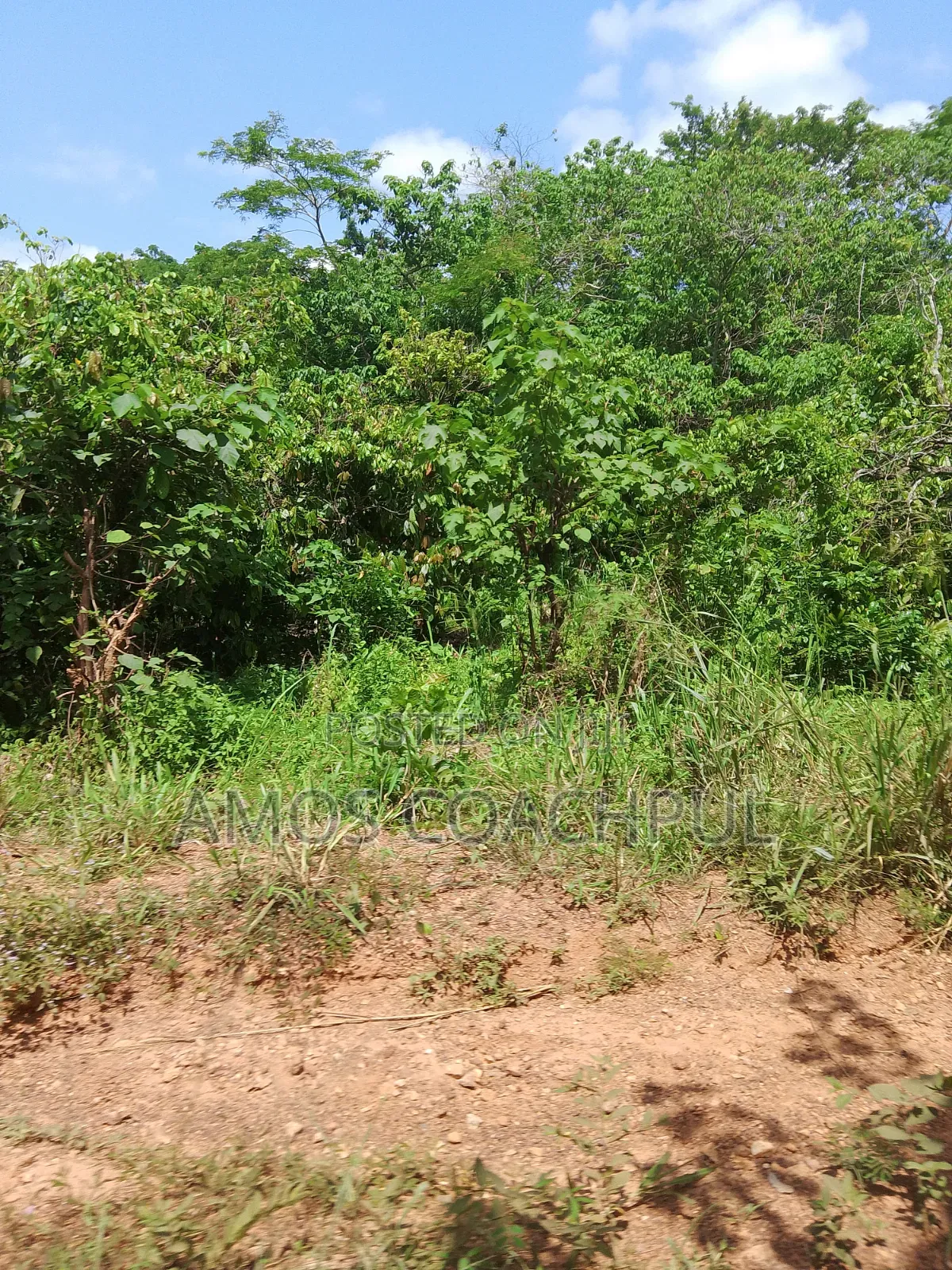 Farmlands at SYN Yawhima-Mensakrom
