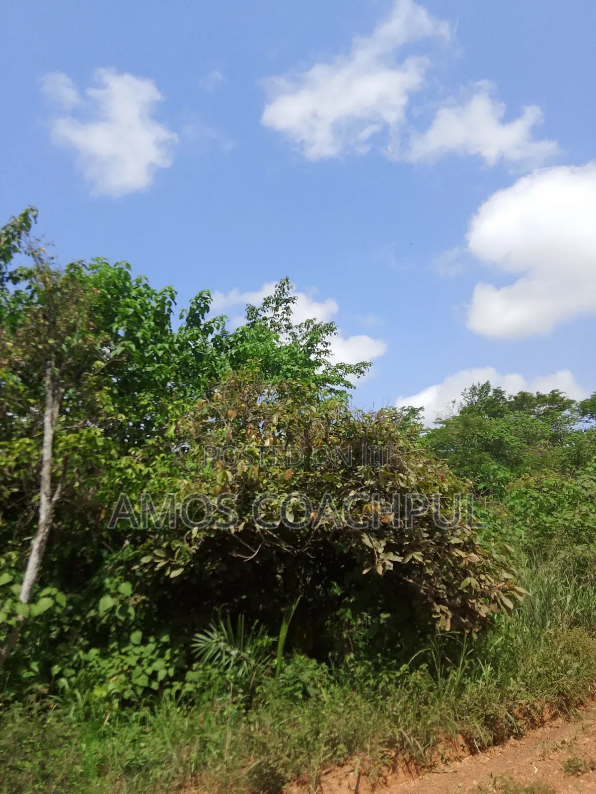 Farmlands at SYN Yawhima-Mensakrom