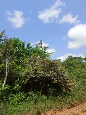 Farmlands at SYN Yawhima-Mensakrom