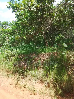 Farmlands at SYN Yawhima-Mensakrom