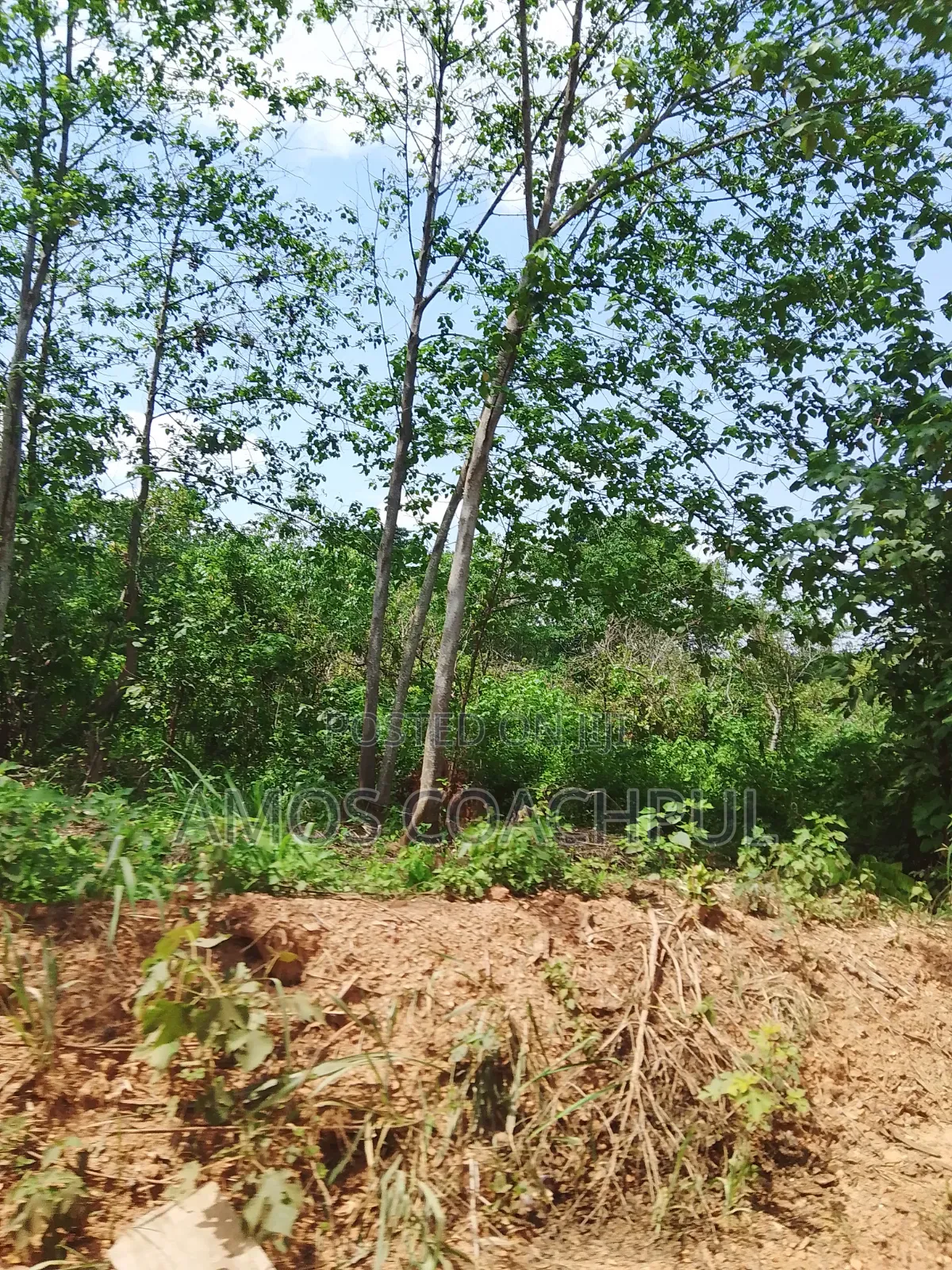 Farmlands at SYN Yawhima-Mensakrom