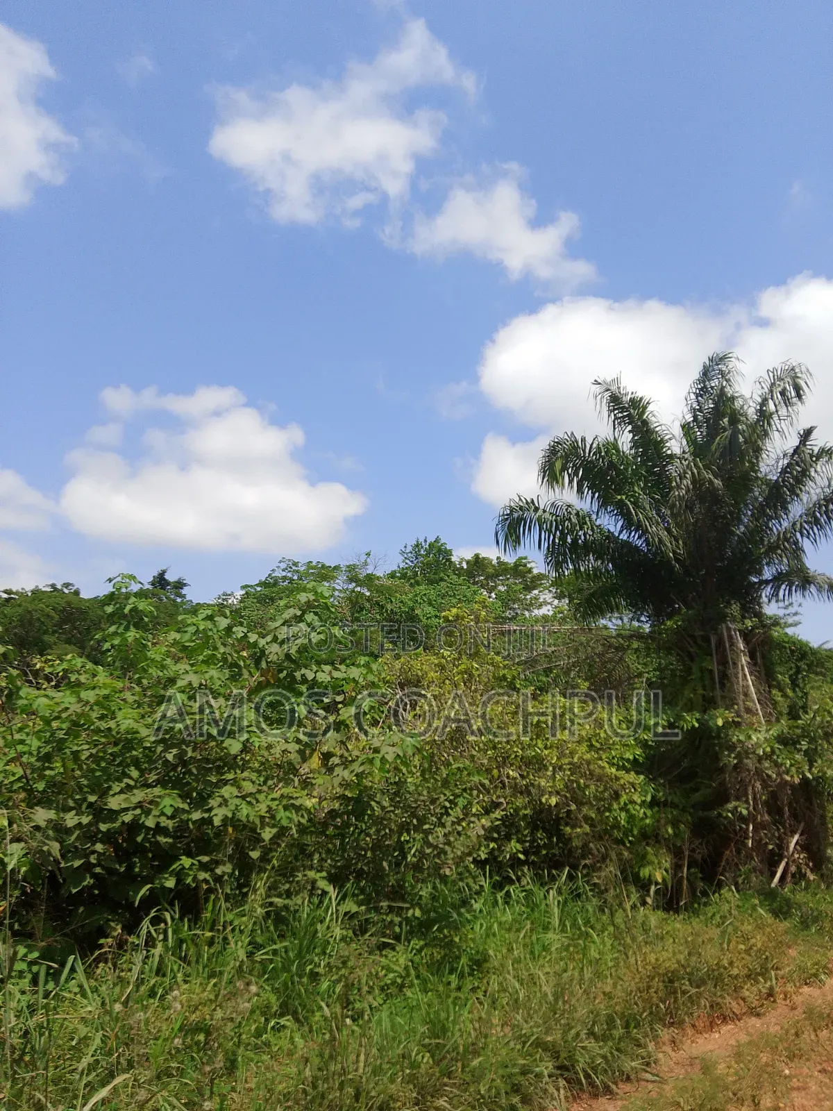 Farmlands at SYN Yawhima-Mensakrom