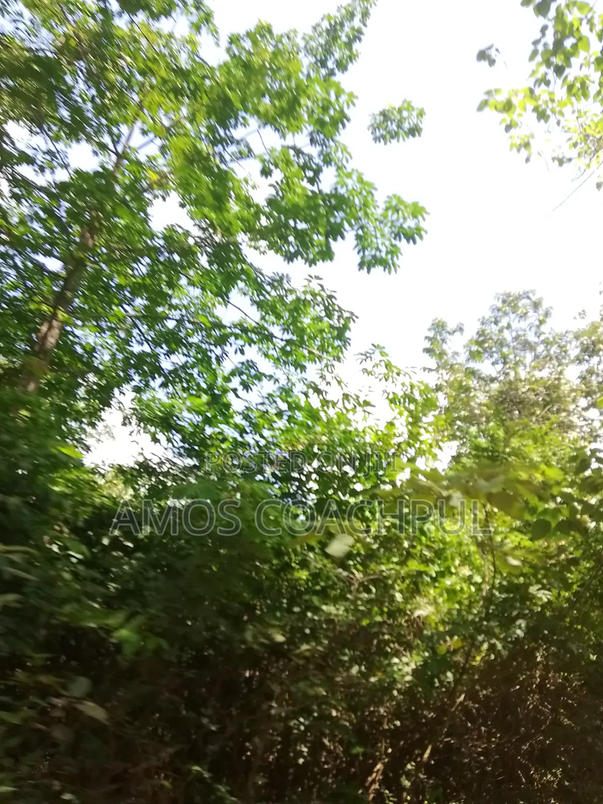 Farmlands at SYN Yawhima-Mensakrom