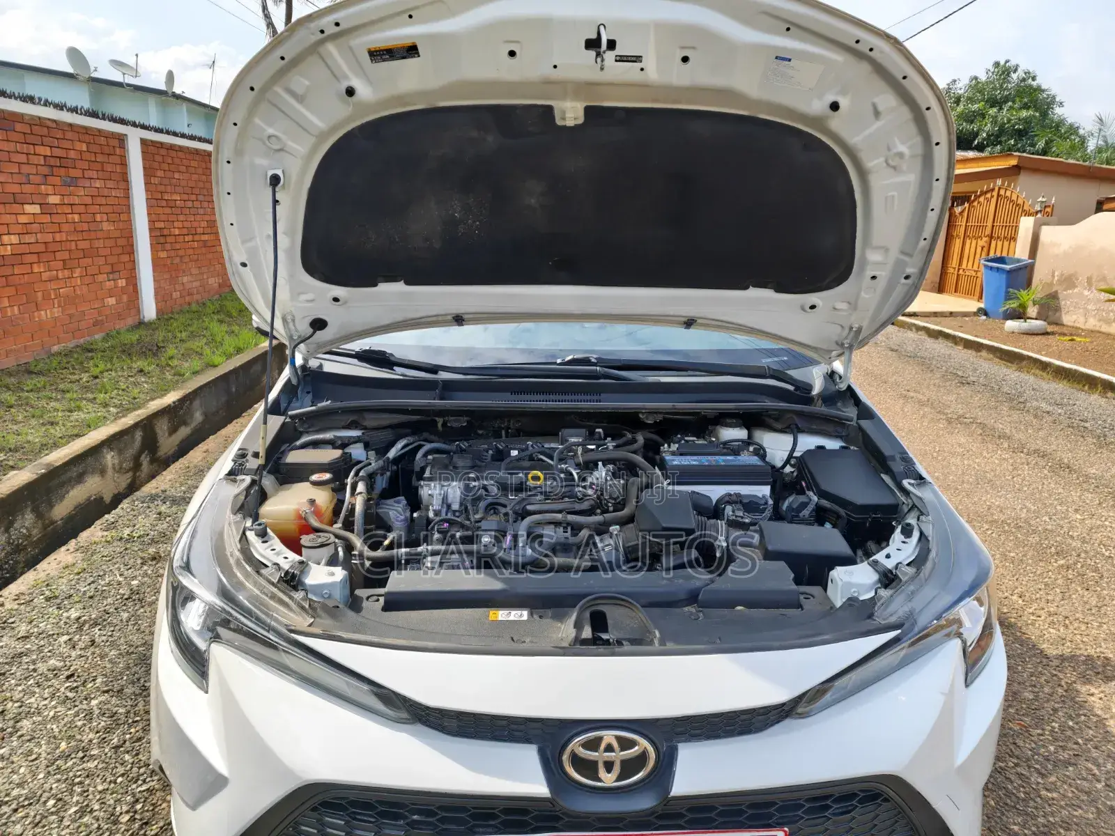 Toyota Corolla 2022 White