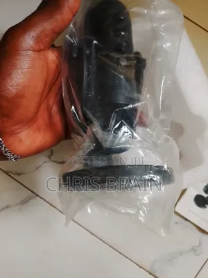 Microphone