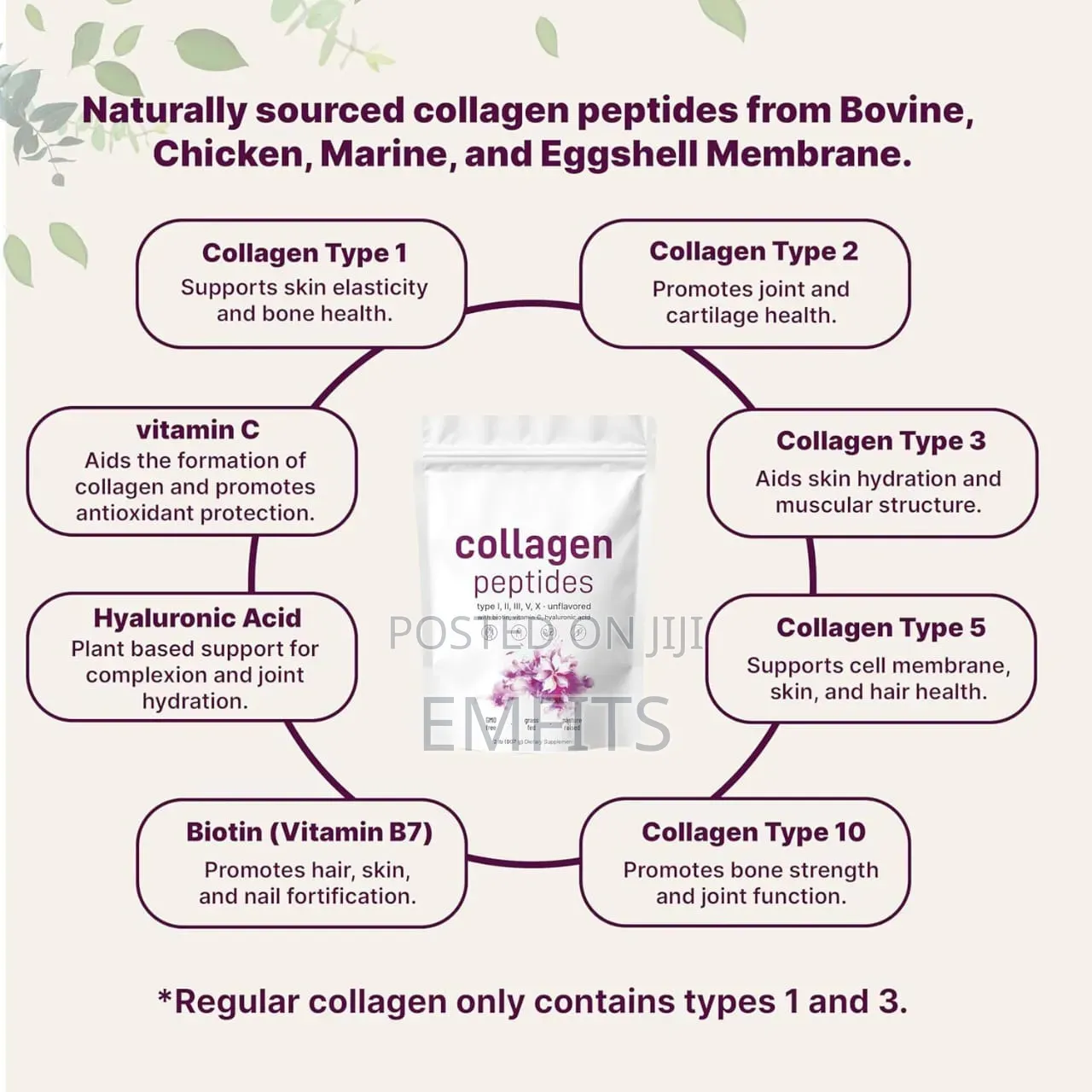 Multi Collagen Peptides