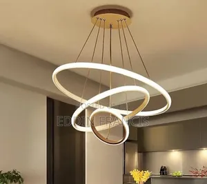 Decorative Ceiling Light