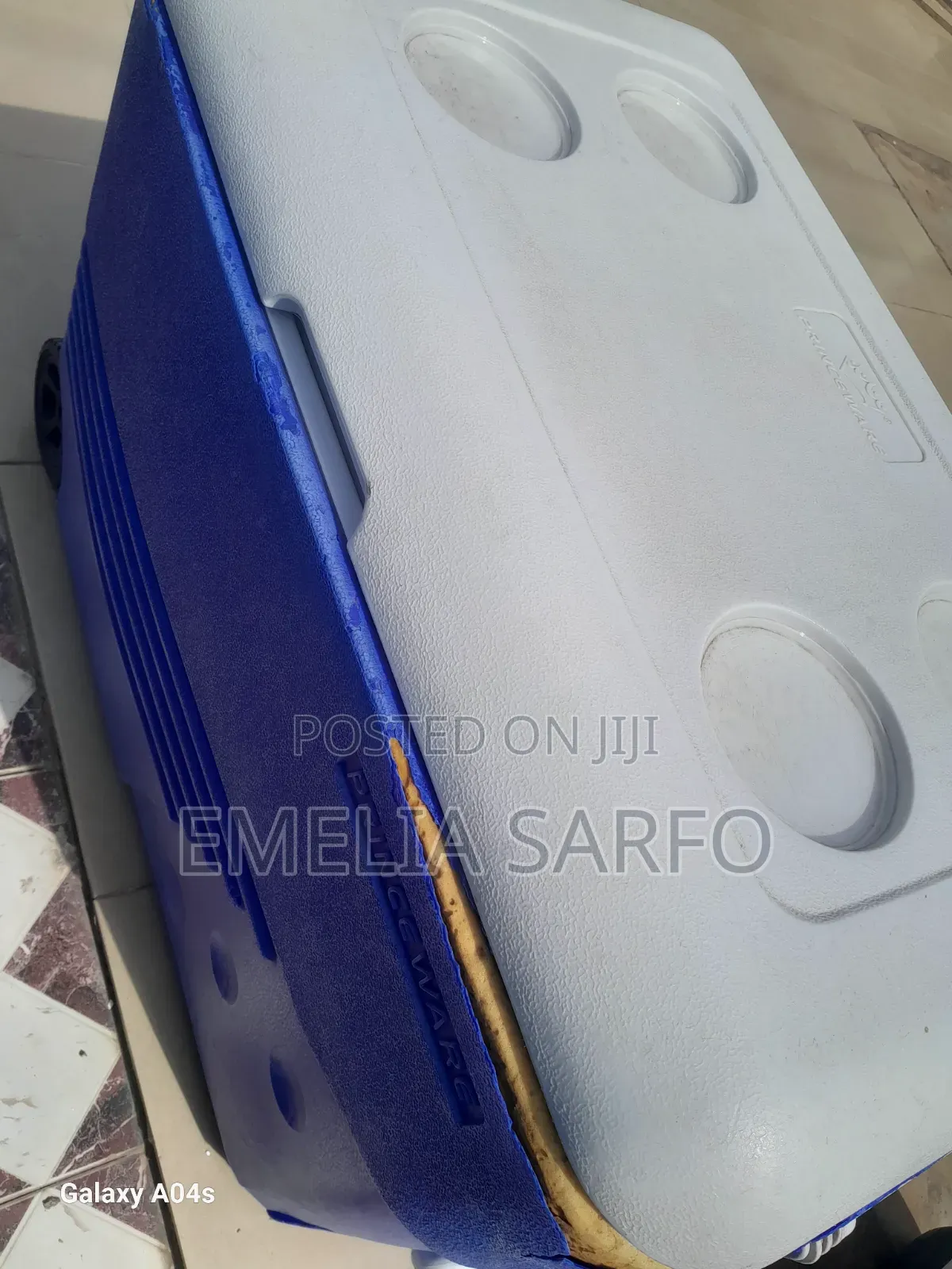 Large Ice Chest/ Chillers