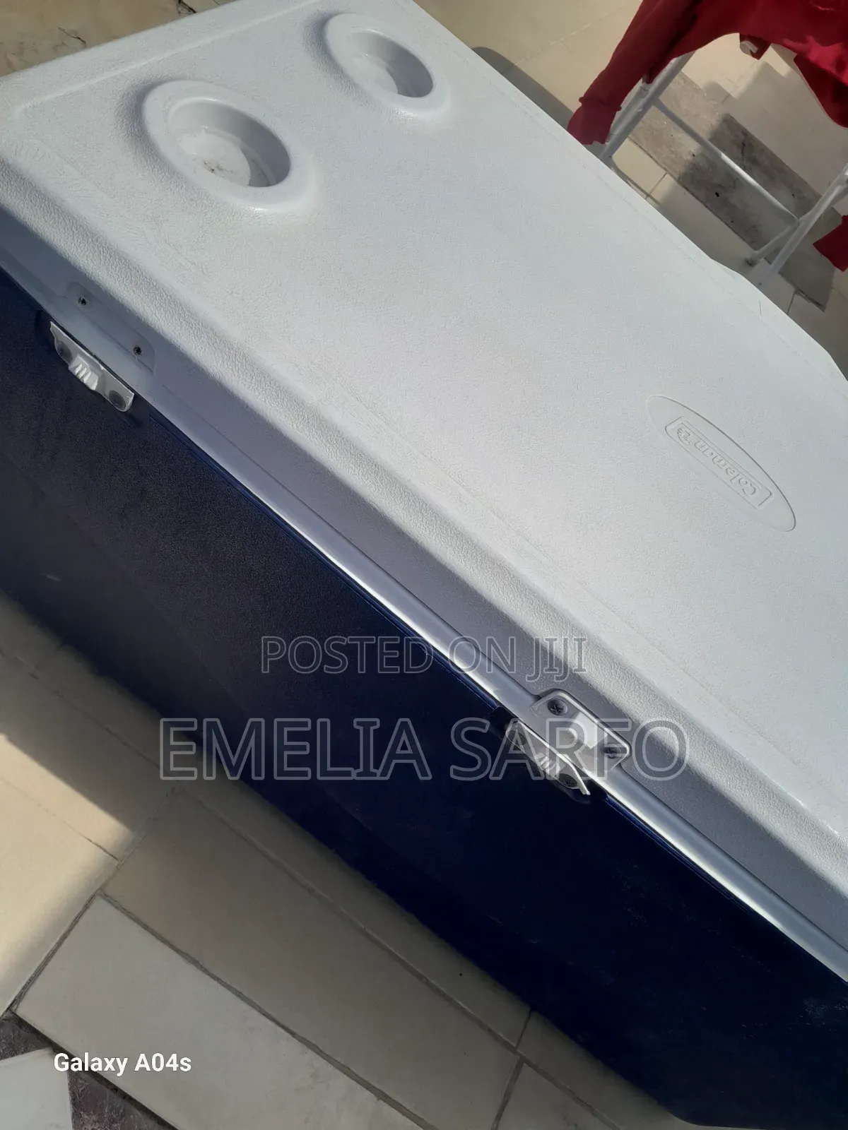 Large Ice Chest/ Chillers