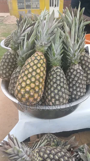 Fresh Pineapple