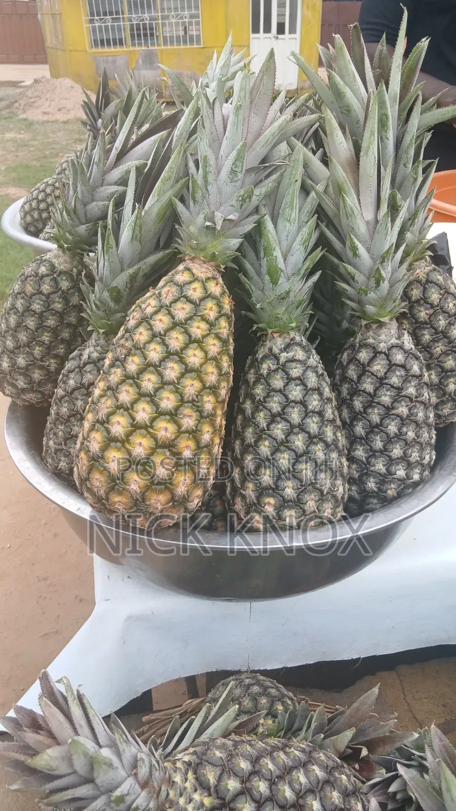 Fresh Pineapple