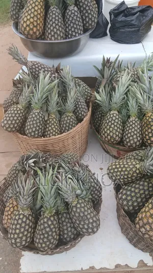 Fresh Pineapple