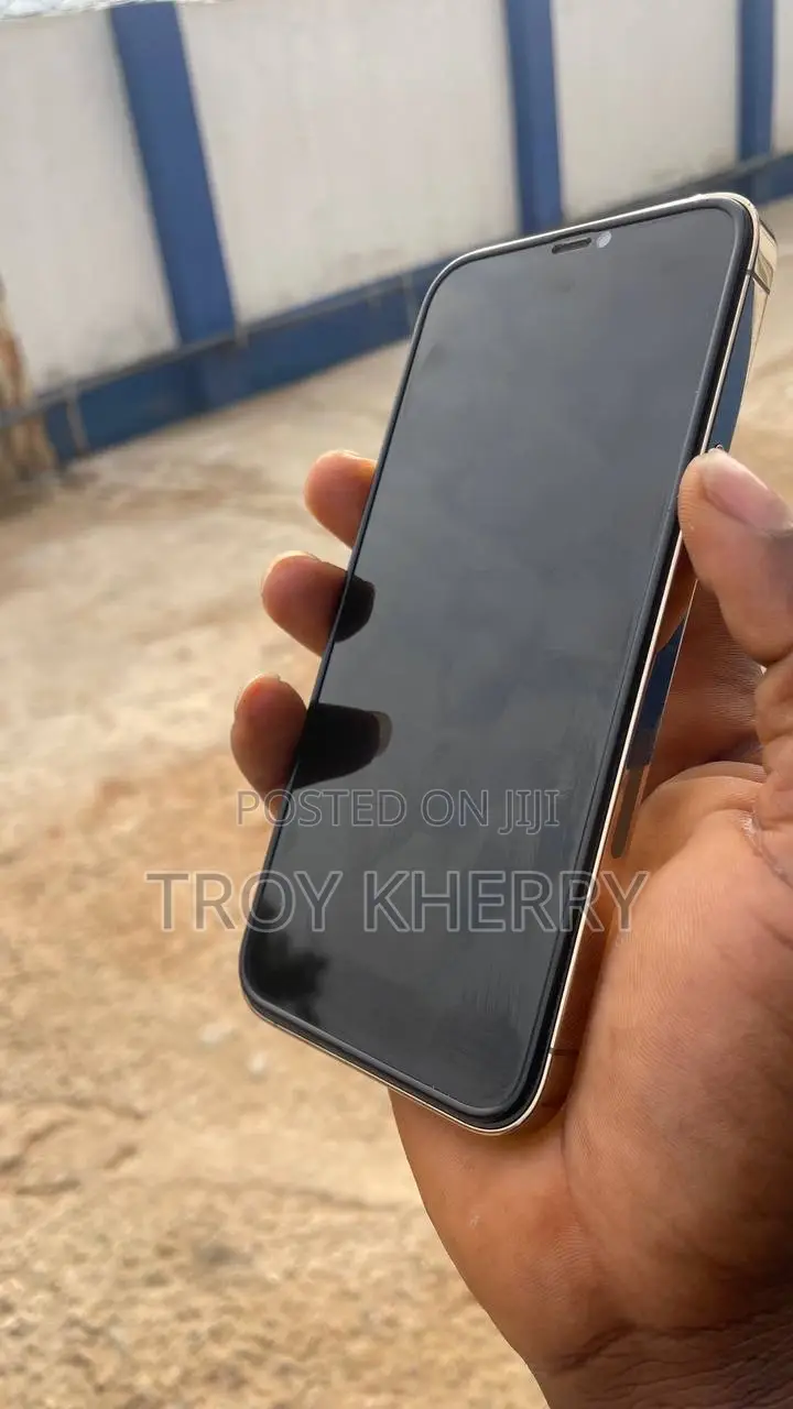 Apple iPhone 12 Pro Max 256 GB Gold