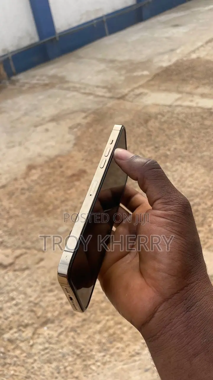 Apple iPhone 12 Pro Max 256 GB Gold