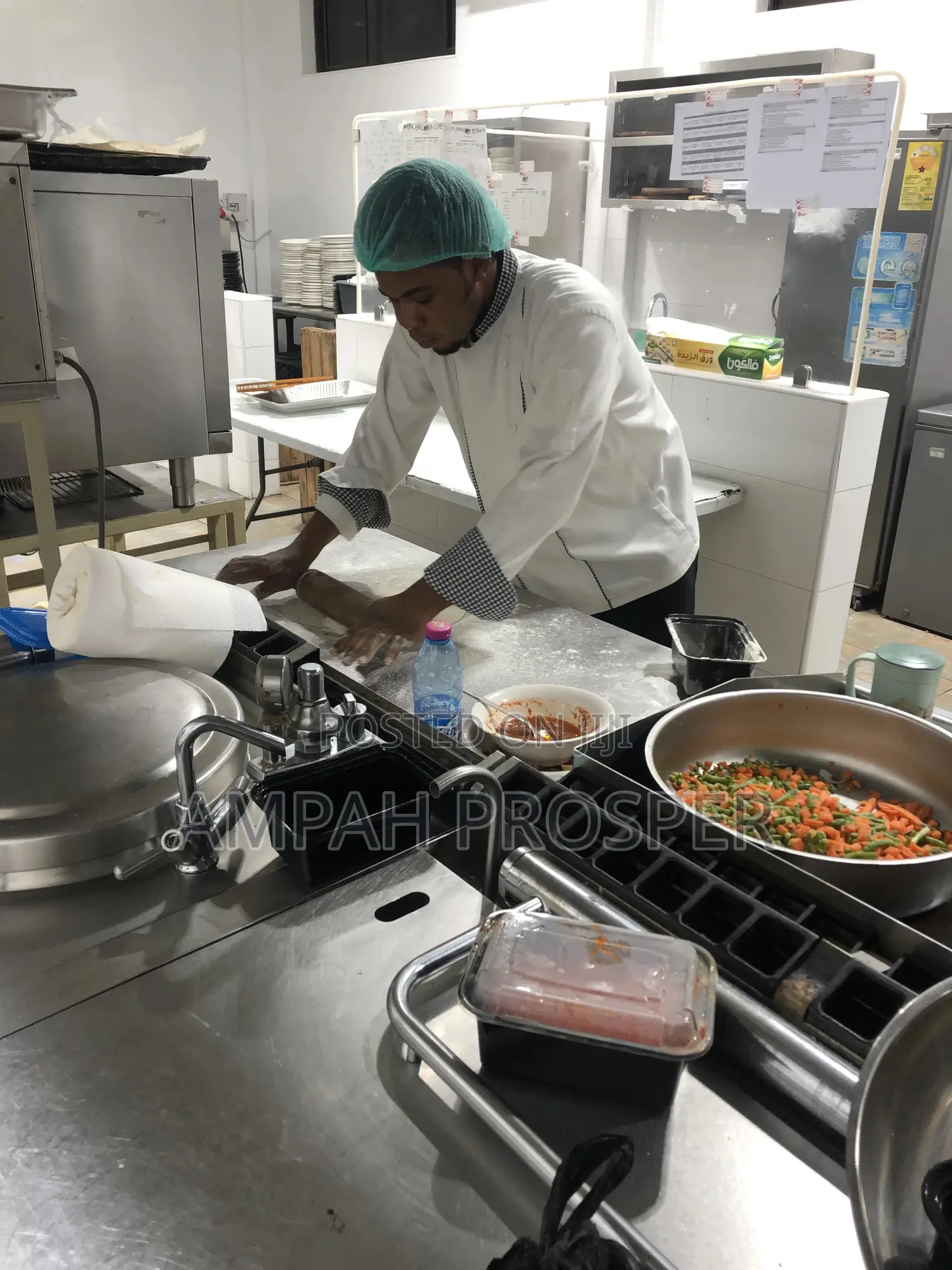 Hotels, Restaurants and Homes(Chef)