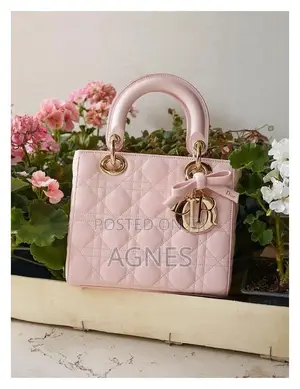 Stylist Ladies Bag