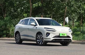 New Car 2025 Gray