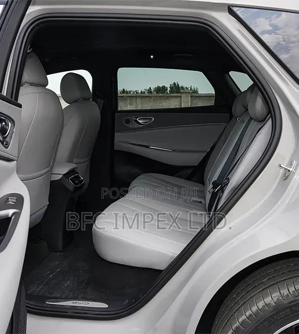 New Car 2025 Gray